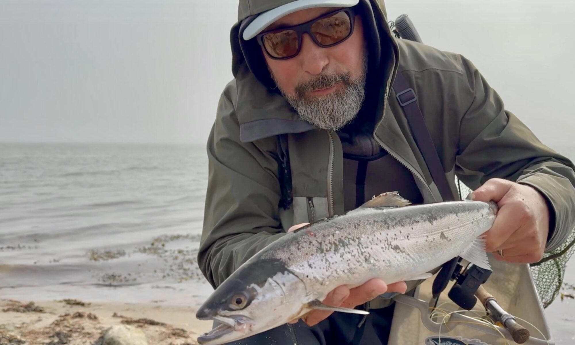 Hansecatch Hamburg, Guiding Elbe, Guiding Fliegenfischen, Videofilme